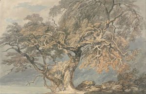 Turner - A Great Tree, c.1796