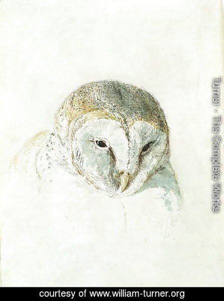 White Barn Owl, from The Farnley Book of Birds, c.1816