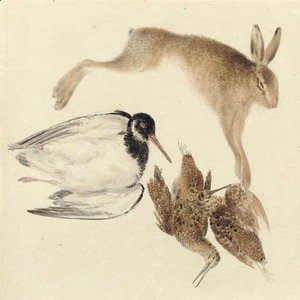 Study of dead game woodcock, oyster catcher and hare