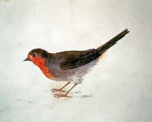 Turner - Robin, from The Farnley Book of Birds, c.1816